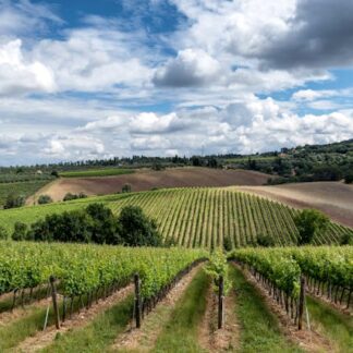 Tuscany Wine Escape – Private Tour with Unavailable Dates